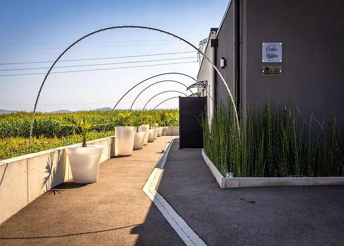 Gite-spa Nature Apartamento *